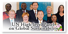 UN Panel